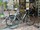 E-765 Optimum vélo occasion électrique route